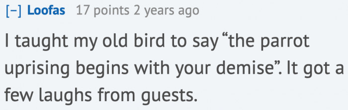 Teaching birds interesting lines is fun.