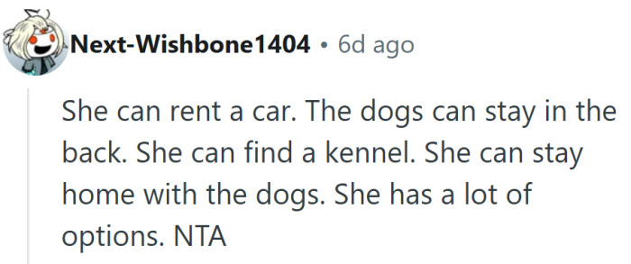 Plenty of solutions on the table, none of which involve turning a RAV4 into a dog park.