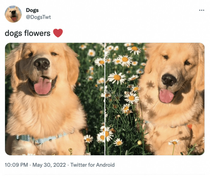 13. Fresh off the garden