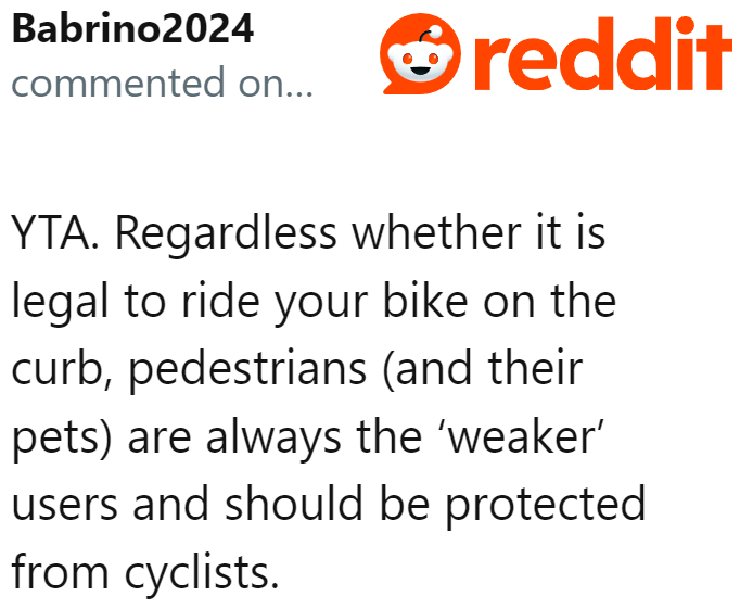People heavily criticized the OP for their actions, especially since they did not prioritize pedestrian safety on a path designated for pedestrians.