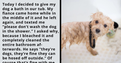 Woman Washes Dog In Bathtub, And Her Fiancé Gets Mad