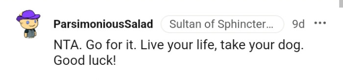 Live your life and take your dog