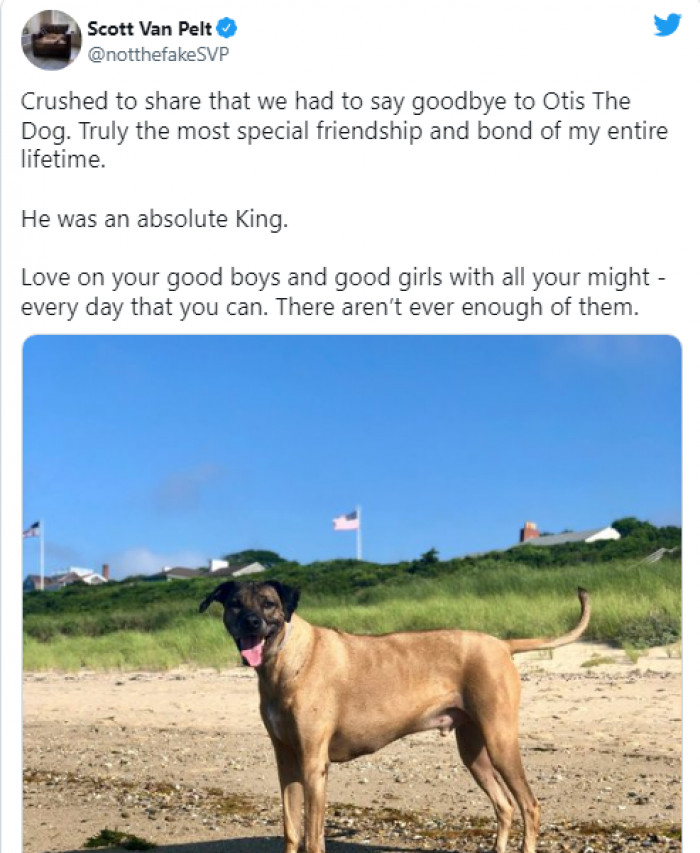 Dogs help humans develop a sense of responsibility, show us unconditional love, and are always there when we need them