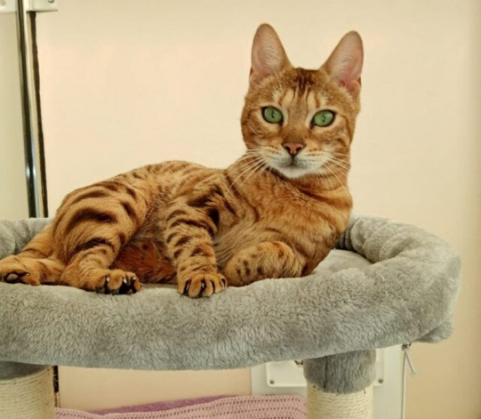 Unfortunately, amputation was the only option, and this was devastating, but at least she was okay.