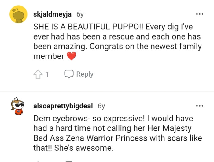 Congrats on the newest family member