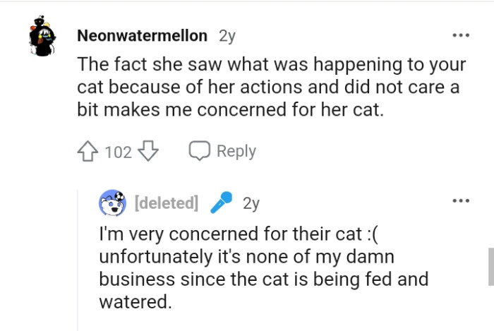 The Roommate Saw What Was Happening to the OP's Cat Because of Their Actions