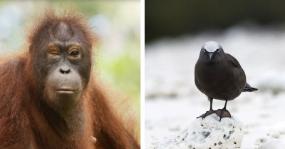 21 Photos That Prove Nature Can’t Be Rushed