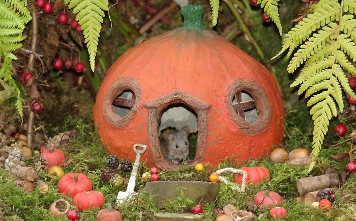 11. Pumpkin Cottage And The Little Mouse That Lives There