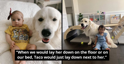 Adorable Dog, Taco, Has The Cutest Reaction To His Baby Sister’s First Walking Steps