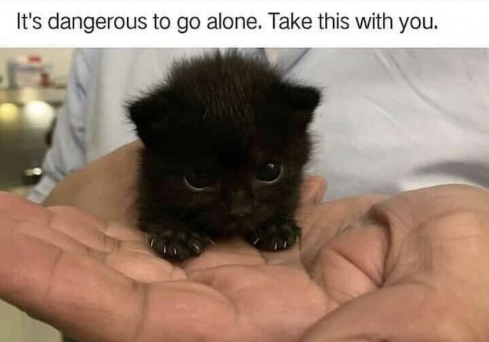 10. It's a tiny shadow friend; he will keep you safe.