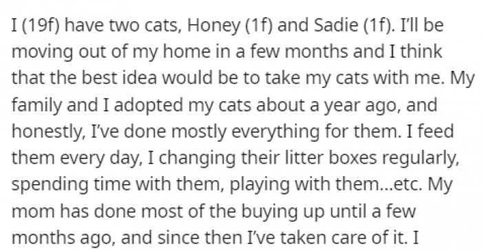They adopted the cats about a year ago, and ever since then, OP has been the one taking care of them.