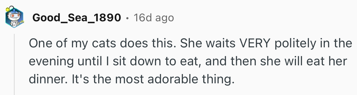 It Seems This Behavior Has Been Observed By A Couple Of Netizens As Well