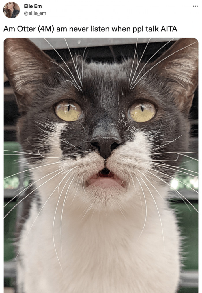 8. Hey Otter, just try to listen more, okay...