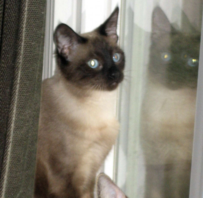 She also inspired him to expand the areas his humanitarian project covered