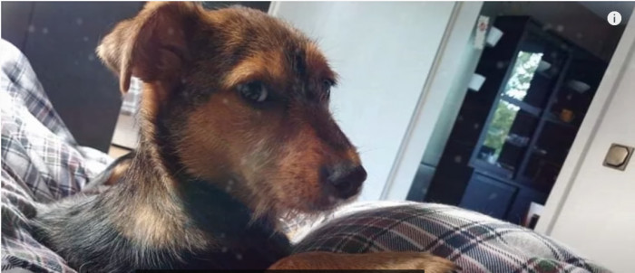 Several months later, Smesten is a healthy and happy boy.