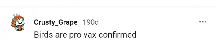 Birds being pro max confirmed