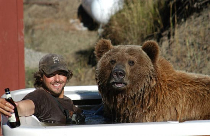 This 800 pounds grizzly bear called Brutus is Casey Anderson’s best friend