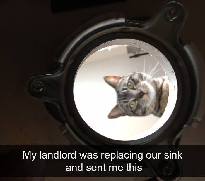 14. I am watching you, human. Do a good job!