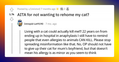 Reddit Users Weigh In On Whether Or Not This Pet Owner Is A Jerk For Refusing To Re-Home Her Cat When Her Mother Asked Her To