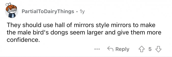 Birds need some confidence too. They get nervous.