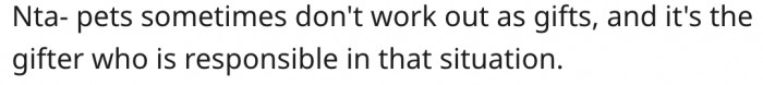 10. Pet gifts are a bad idea.