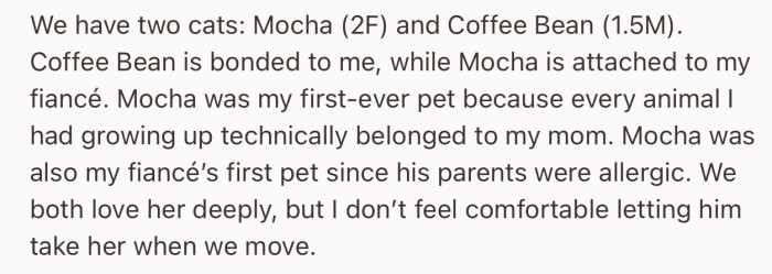 They both have one cat each (Mocha and Coffee Bean), and OP’s cat, Mocha, is attached to her fiancé. However, she doesn’t want to let him take her