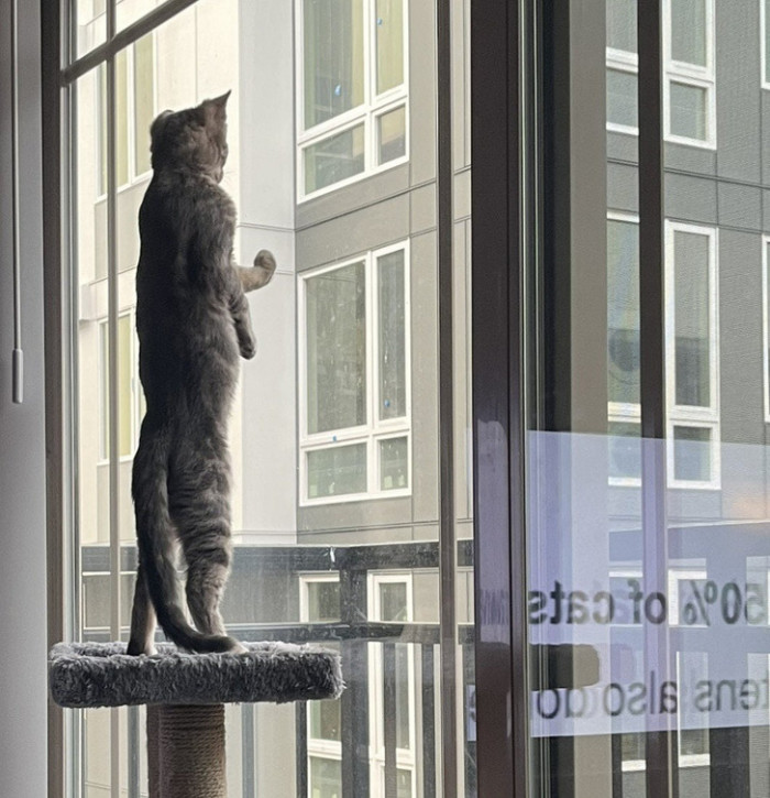 15. "He’s just standing there… menacingly"