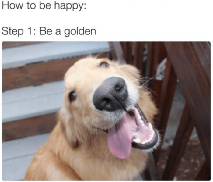 15. Listen to him; he knows what he is talking about.