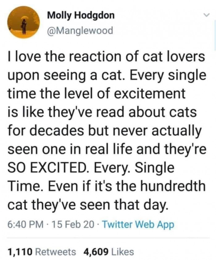 5. Every cat is different. And every cat deserves to be treated like royalty.