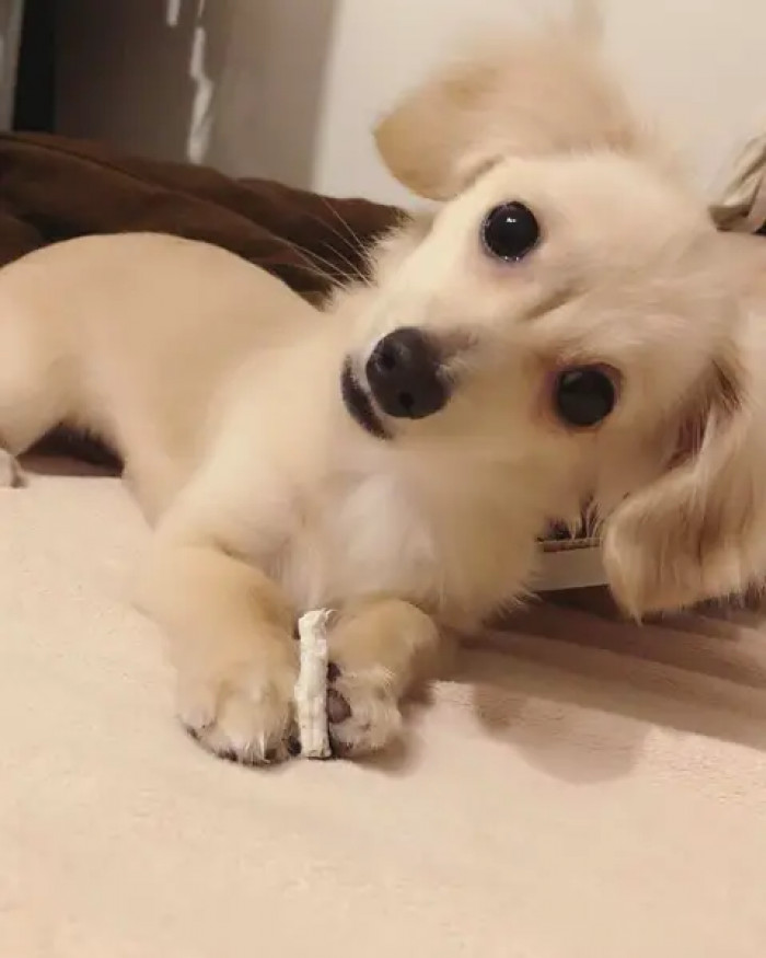 2. Look at my tiny cute marshmallow