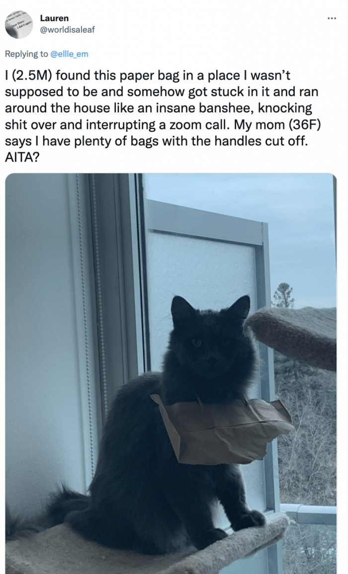 15. Hey handsome, stop knocking things over and interrupting mom's call