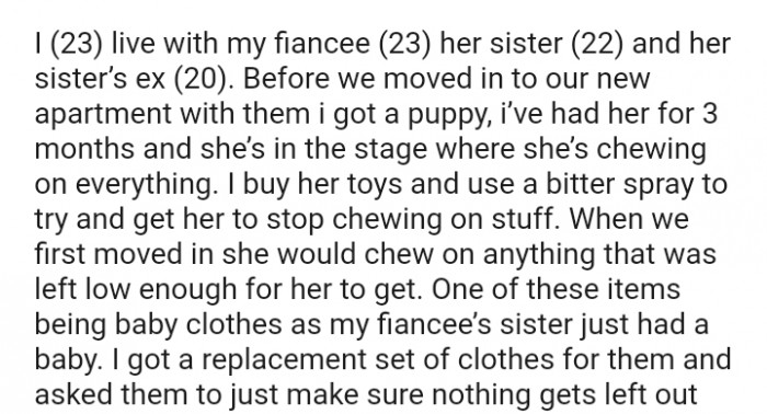 This Redditor's dog chews on anything she can get her paws on