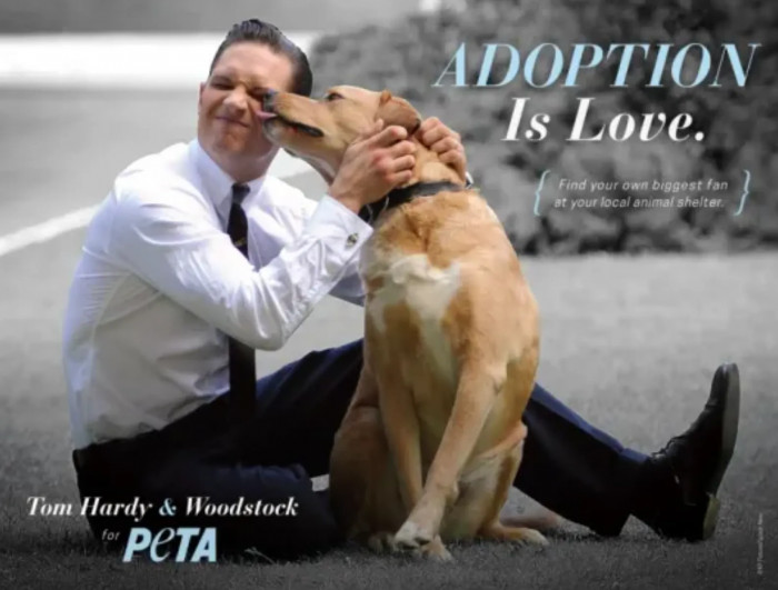 Woody was just 11 weeks old when Tom rescued him from the streets of Atlanta