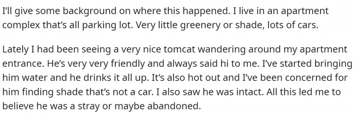 OP lives in an apartment complex that has a large parking lot. They noticed a nice cat hanging around and started giving it water to help it cope with the heat. They also noticed that the cat wasn't fixed, which led them to the conclusion that it was a stray.
