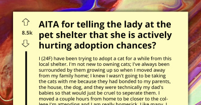 Woman Uncovers Shocking Animal Hoarding Operation At Local Shelter After Being Repeatedly Rejected As Cat Adoption Candidate