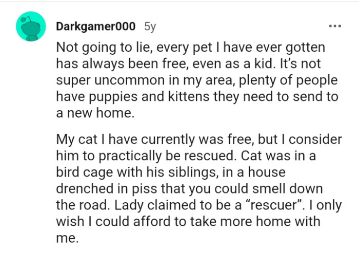 This Redditor says that their current cat was free