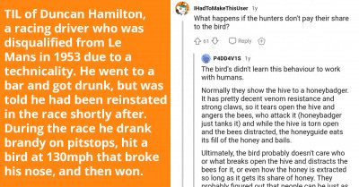 Check Out This Amazing Trade-By-Barter Relationship This Bird Has With African Bee Hunters