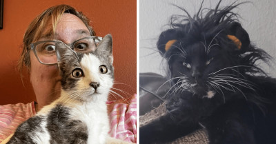 12 Times Cat Owners Posted Photos Of Their Furry Buddies Looking Like Their Identical Twins