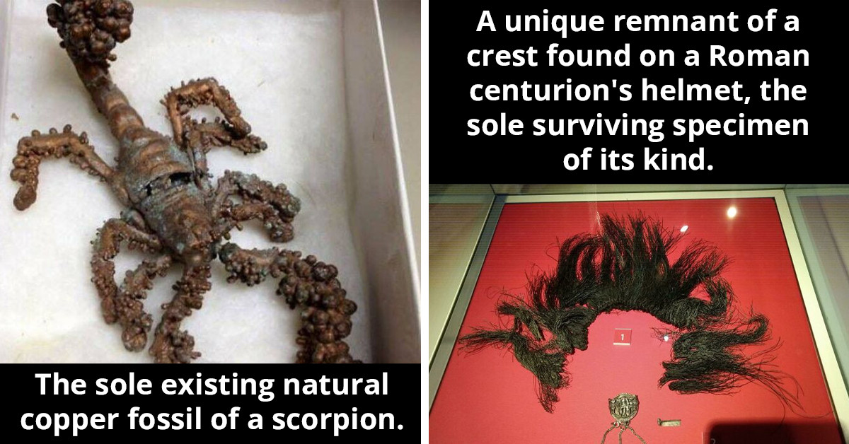 26 Remarkable Artifacts, Sole Survivors Of Their Kind, Celebrated By An Online Community