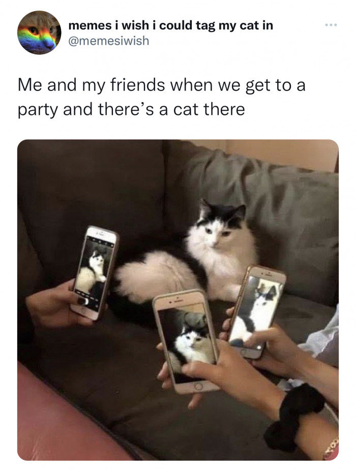 2. You finally find something you can obsess over instead of socializing.