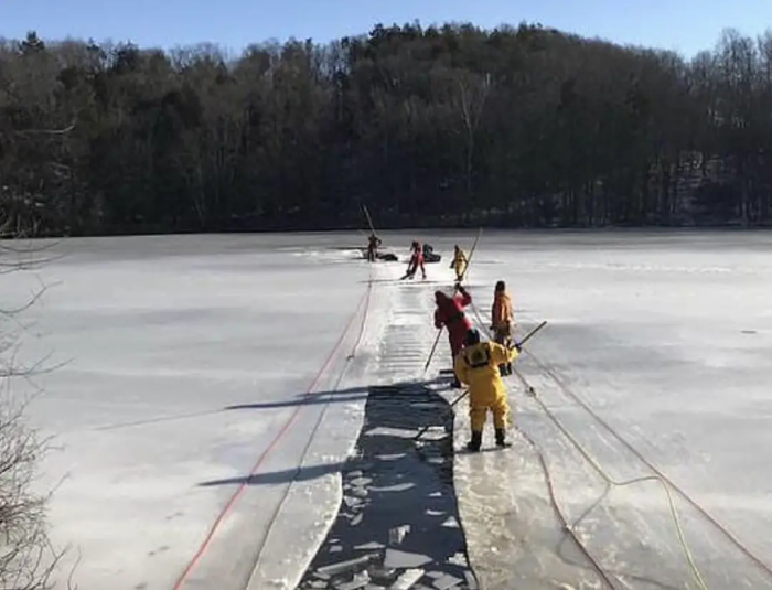 The brave team of rescuers made a path in the ice for the horses to swim through