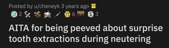 OP was surprised and said he brought his dog in to get neutered but was not informed about the dental