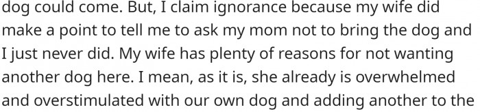 OP didn't tell his mom not to bring the dog because he assumed it would stay home with his stepfather