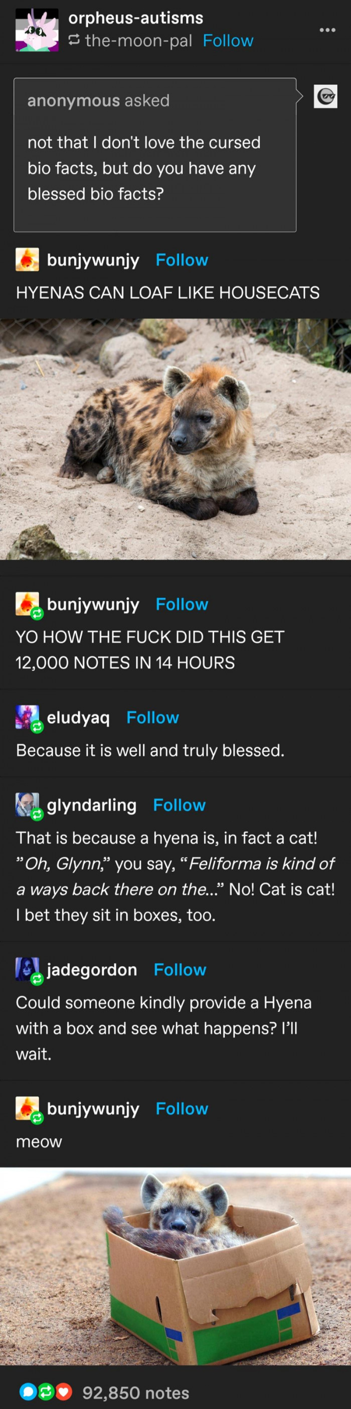 11. Proof that hyenas are also cats