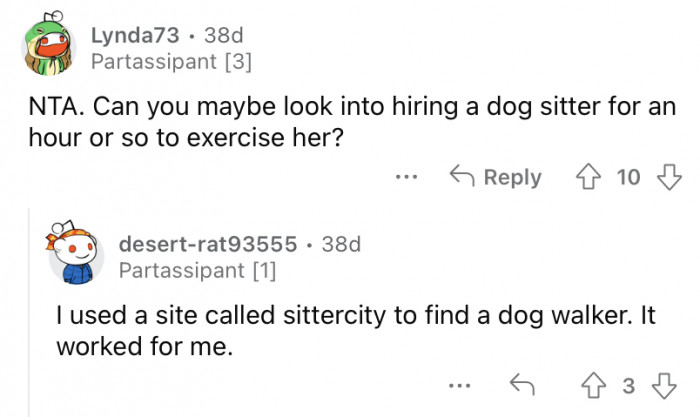What about a dog-sitter?