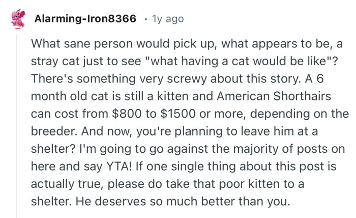 “If one single thing about this post is actually true, please do take that poor kitten to a shelter.”