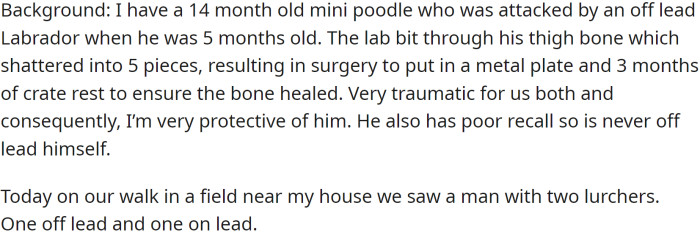 OP, the owner of a 14-month-old mini poodle, experienced a traumatic incident when an off-lead Labrador attacked their dog at 5 months old