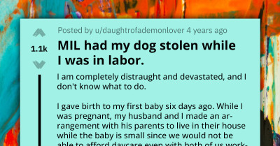 First-Time Mom Devastated When Mother-In-Law Rehomes Her Dog While She Was In Labor