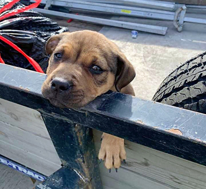 Thankfully, He Is Now Safe and Out of Harm’s Way