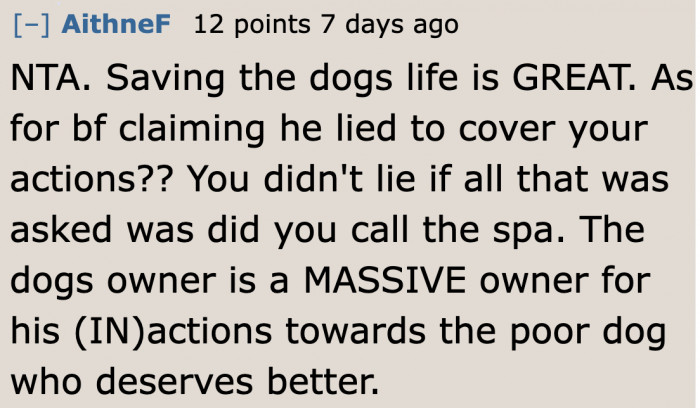 It's All the Dog Owner's Fault. Everything Started with Him.